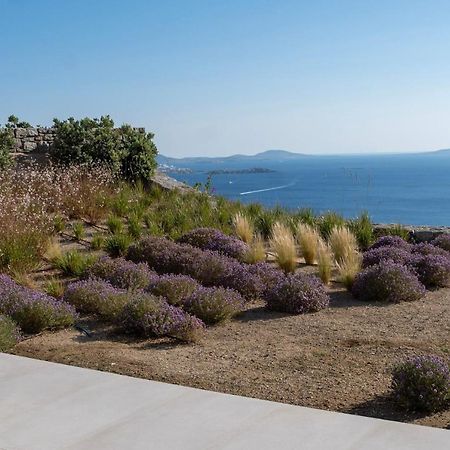 Zelia B&B & Villa Mykonos Town Экстерьер фото